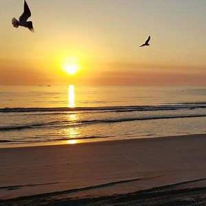 87K views · 10K reactions | Good morning from St. Augustine Beach, Florida! ❤✌☕ #sunrise #USHOWUP #ALONETOGETHER | First Light InSite | Facebook