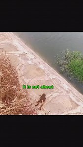 17K views · 78 reactions | The Inappropriate Gift Co on Reels | Facebook