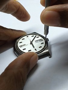 Seiko LM | Inu Arloji