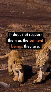 78 reactions · 34 shares | Trophy hunting is brutal and inflicts terrible suffering on majestic animals. We urge the Lords to continue to support the Hunting Trophies (Import Prohibition) Bill, which will have its committee stage in UK House of Lords on Tuesday, so that it becomes law. | World Animal Protection UK | Facebook