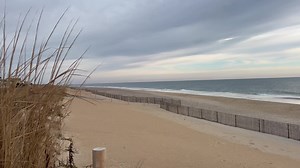 Beautiful Bethany | Turtle Beach Cafe