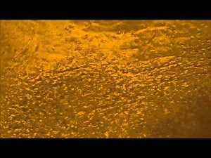 From Breast Tissue to Beating Heart Cells