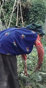 A recipe for preparing organic food | Nature Cooking