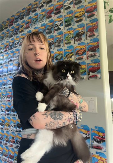 Furbs (@f_urbee)’s videos with Originalton - k ─ .✦ ⊹ ࣪ ˖