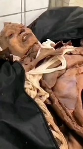 25K views · 586 reactions | that was mummified thousands of years ago, wow, what an amazing thing #PassionPassport #Egypt #Temple #Nat geoTravel #Magical #Cairo #Egyptian #R edsea #CnTraveler #This|sEgypt #AncientEgypt #Pharaoh #VisitEgypt #Egyptology #Travel # Love #InstaGood #PhotoOfTheDay #Explore #TravelGram #architecture #landscape #travelling #trip #holiday #wanderlust #instatravel #adventuretimecosplaver | EgypTours | Facebook