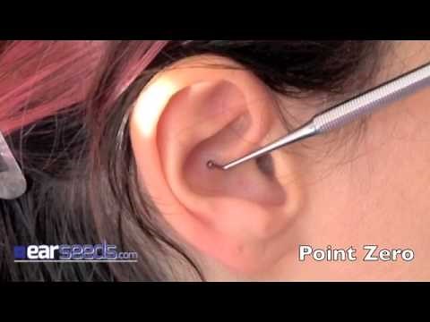 Point Zero Auriculotherapy Ear Point