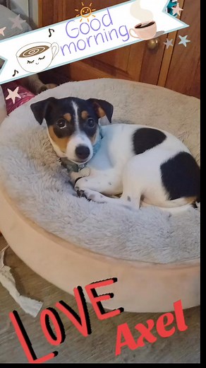 Stephen Pool on Reels