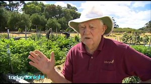 The success behind Cockman veggie garden