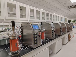 [Hot Item] Glass Lab Fermentation Bioreactor with Rushton Type Mixers