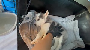 2.6K views · 264 reactions | CRYSTAL UPDATE ❤️ She is hanging in and...