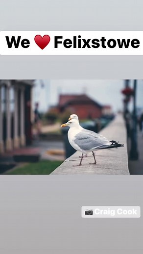 1.8K views | We ♥️ Felixstowe!  Craig Cook #Felixstowe #Suffolk #EastAnglia Felixstowe News Contributors | Felixstowe News | Facebook