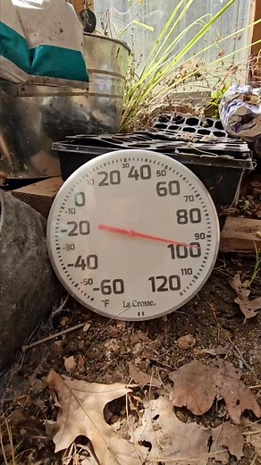 Greenhouse also serves as a temporary kiln and trapping shed | RockyHills HomePlace