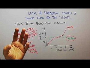 CVS physiology 102. Long term control of blood flow #local and humoral control of blood flow