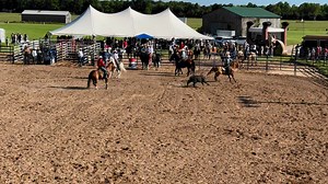 Double JJ Resort on Reels