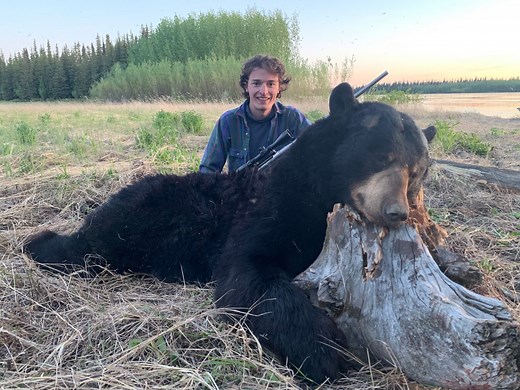 The Best Bear Cartridges