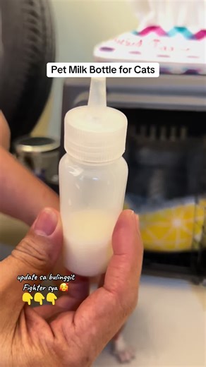 Pet milk bottle for cat buti nlang mabilis matuto si bulinggit #creatorsearchinsights #petmilkbottle #petbottle #milkpetbottle #bottleforcat