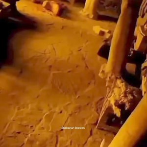 13K views · 578 reactions | When Prophet Muhammad was born ❤️爐 #Ibtasam_Abbas | Ibtasam Abbas | Facebook