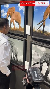 #Bollywood celebrity Akshay Kumar to be at Dr Ramakanta Panda's wildlife photography exhibition 'Heartbeats' at Jahangir Art Gallery. #AkshayKumar #actorssbollywood #bollywooddazzle #StarsEverywhere | Bollywood Dazzle