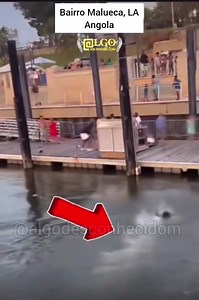 E se ALABAMA, fosse em Angola 🇦🇴 #alabama #chair #chairchallenge #alabamafights #alabamatiktok #riverboat #viral #viraltiktok #ifalabamawas #riverbrawl #boatfight #bamabrawl #riverfrontpark #montgomerygator #montgomery #chairmanchallenge #montgomeryalabama #trend #trending #algodesconhecidom #algodesconhecido #angolatiktok #tiktokangola #tiktok #foryou #fyp #riverboatcruise #blackhistory #wakanda #wakandaforever #malueca #lutadegangue #lutasdegangues #dobabulo #tudopelokuduro #wowo #tiktokPort