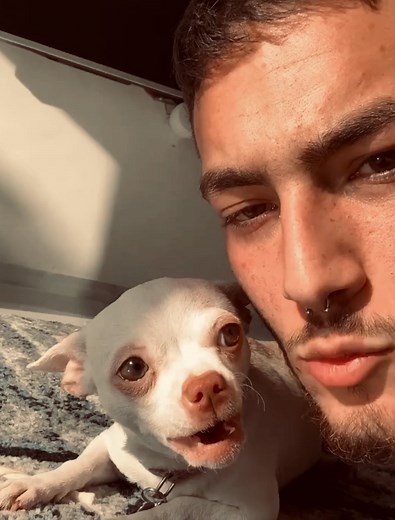 Understanding Niki's Anger: Chihuahuas Explained