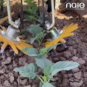Mechanical weeding with Dino. Yuma, AZ. Coronation Peak, Broccoli 🥦 Interested for a demo? Contact us now 👉 https://www.naio-technologies.com/en/dino/interested-in-dino/ | Naïo Technologies