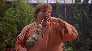 Ниндзя из Беверли Хиллз Beverly Hills Ninja (1997)...К