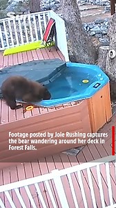 Bear enjoys 'spa day' as it takes dip in hot tub | The US Sun - News