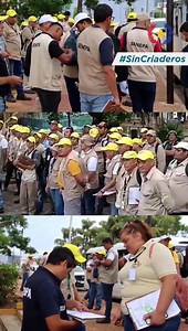 #Arbovirosis | La lucha contra el Aedes aegypti sigue vigente en...