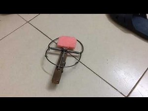Hướng dẫn nâng cấp bẫy chuột bán nguyệt thành bẫy chuột không mồi