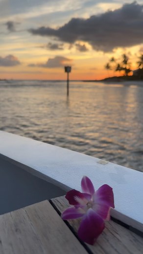 Full moon sunset cruise. 🌅🌝 | Carole Westerman