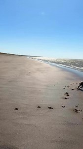 42K views · 4.7K reactions | Packed out at the beach today | Max Out in the Lake District | Facebook