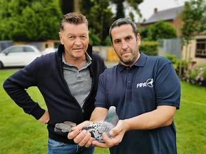 12K views · 1.5K reactions | Recap Pau national winner Belgium⬇ The National winner Belgium from Pau in the category "Old birds" is Flasse Samuel & David (Audregnies-BE). Congrats 拾 | PIPA | Facebook