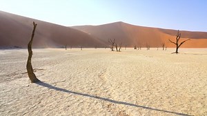 Dead Acacia Trees Deadvlei Namib Desert Stock Footage Video (100% Royalty-free) 1045648111 | Shutterstock