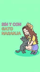 231K views · 897 reactions | ¿Tienes o tuviste algún michi naranja?...