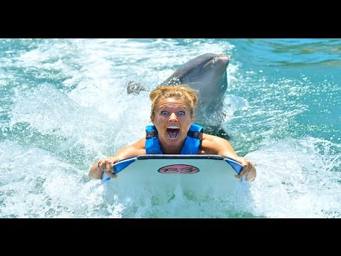 GIRL GETS HUMPED BY DOLPHIN!!! (340)