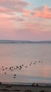 Would your group like some sunny nights? 😴🌞 The summer solstice is upon us again, with its endless days and Midnight Sun. It’s an incredible time of year up here by the Arctic Circle, full of energy and mystical powers (and sleepless nights for some, due to the 24 hour daylight). Just remember to close the blinds! #iceland #icelandtravel #myicelandtravel #solstice #reykjavik | Iceland Travel
