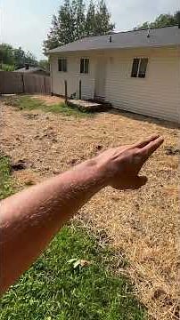 Graded Swale Installation #landscaping #drainage #contractor