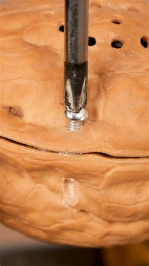 160K views · 218 reactions | DIY Speakers | Bored Panda Art | Facebook