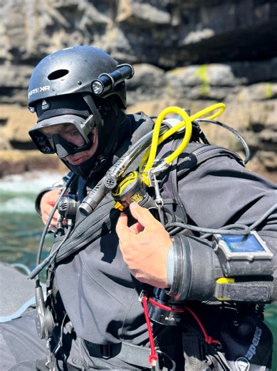 #ireland #atlantic #wild #life #diving