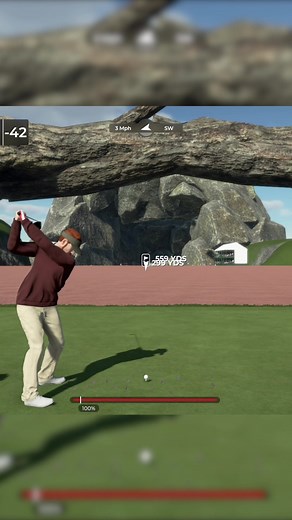 Lion Trees on TikTok