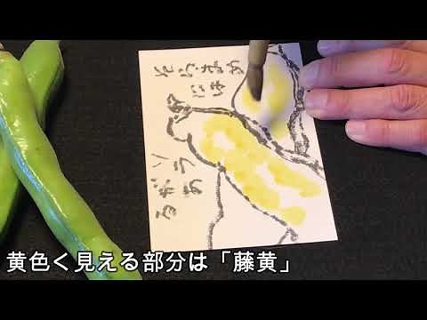 初物のソラマメを描いてみた。