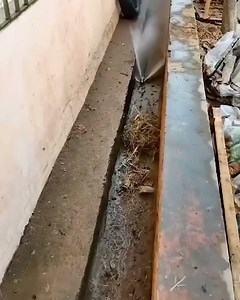 6.8K views · 26 reactions | 174_Top_Notch_Cleaning_Machines | ElectriCorp | Facebook