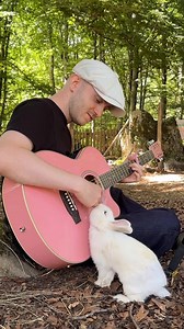Rescued Rabbits Hear Music for the First Time 🥹😭