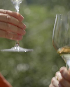 Hike in the footsteps of the Valais wine Valais Wallis: Between Martigny and Leukerbad, the Vineyard Trail leads hikers on a journey to discover the diversity of the Valais vineyards. 🍇🌱 Winemaker Marie-Thérèse Chappaz tells us here about her passion for the vine and her canton: https://www.myswitzerland.com/en-ch/experiences/summer-autumn/summervacations/stories/on-the-wine-trail/ | Switzerland