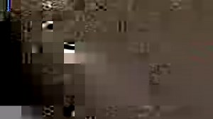 That Guy vicdibitetto.net | Vic DiBitetto