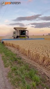 7.3M views · 10K reactions | CLAAS Lexion combine harvester working in a field stripping wheat | Pro Horizon Farming Content | Facebook
