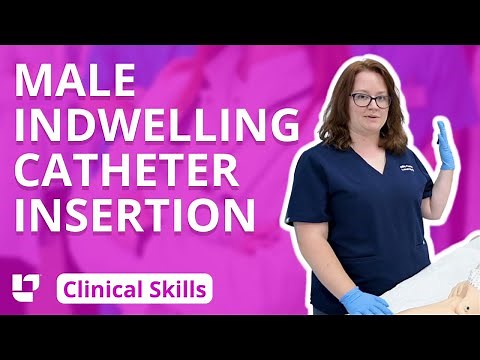 Indwelling Urinary Catheter Insertion on Male - Clinical Nursing Skills | ‪@LevelUpRN‬