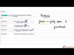 Anthesis is a phenomenon which refers to