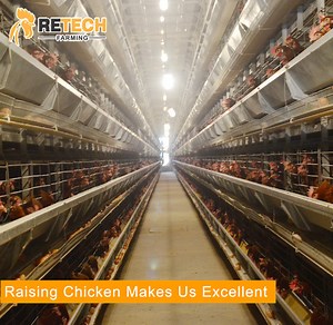 [Hot Item] Designs Automatic Chicken Battery Cage Poultry Farm Equipment for Sale