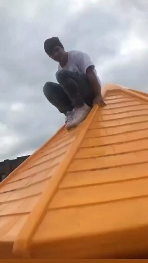 Fail Fact on Instagram: "#reels"